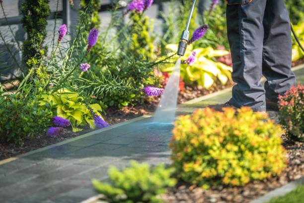 Best Patio and Deck Pressure Washing  in Spring Grove, MN