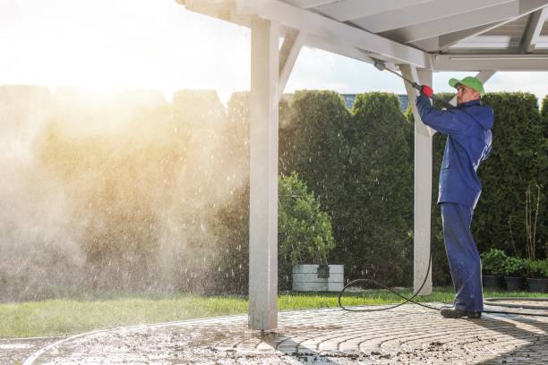 Animal Enclosure Cleaning in Spring Grove, MN